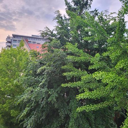 Privatzimmer An Der Uniklinik Magonza Esterno foto