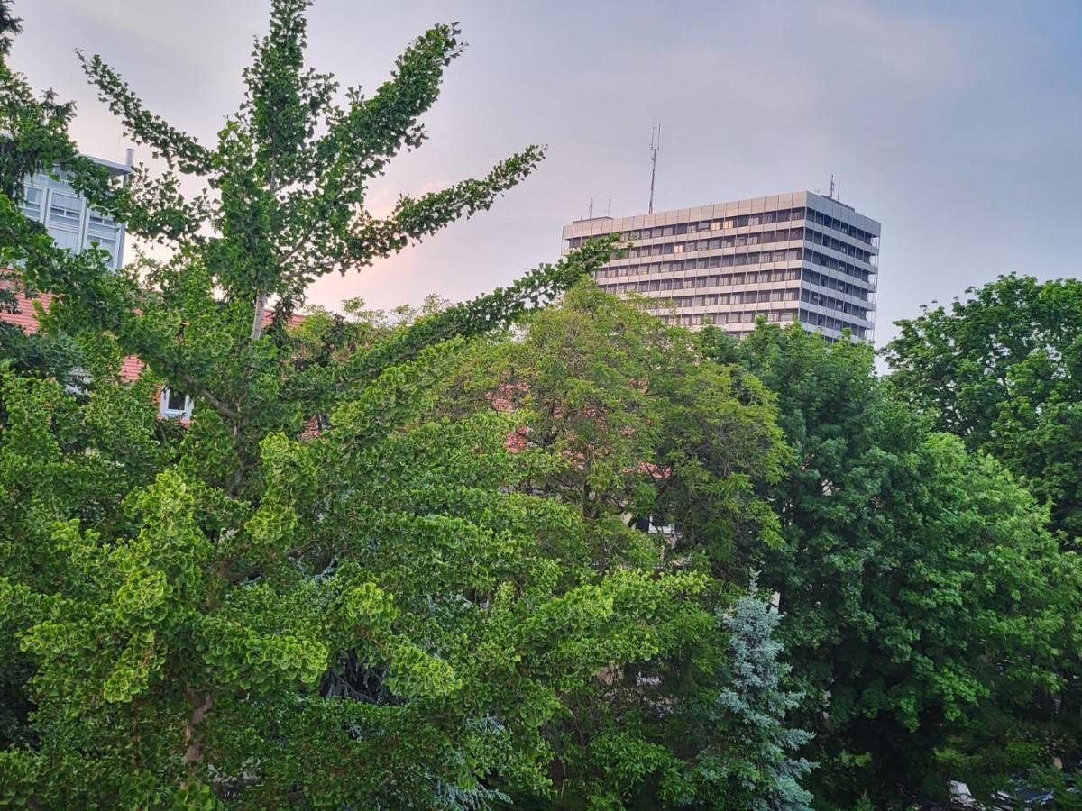 Privatzimmer An Der Uniklinik Magonza Esterno foto
